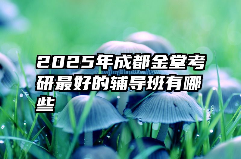2025年成都金堂考研最好的辅导班有哪些