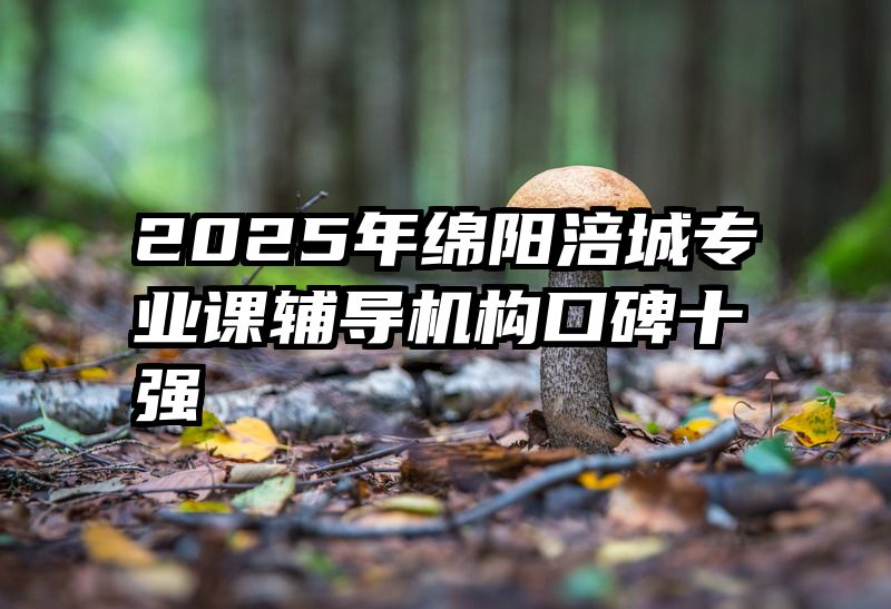 2025年绵阳涪城专业课辅导机构口碑十强