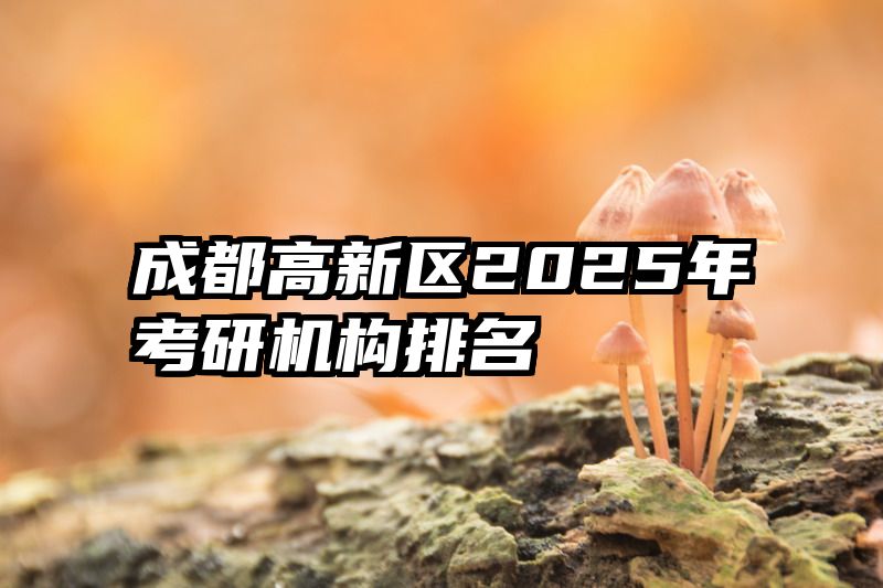 成都高新区2025年考研机构排名