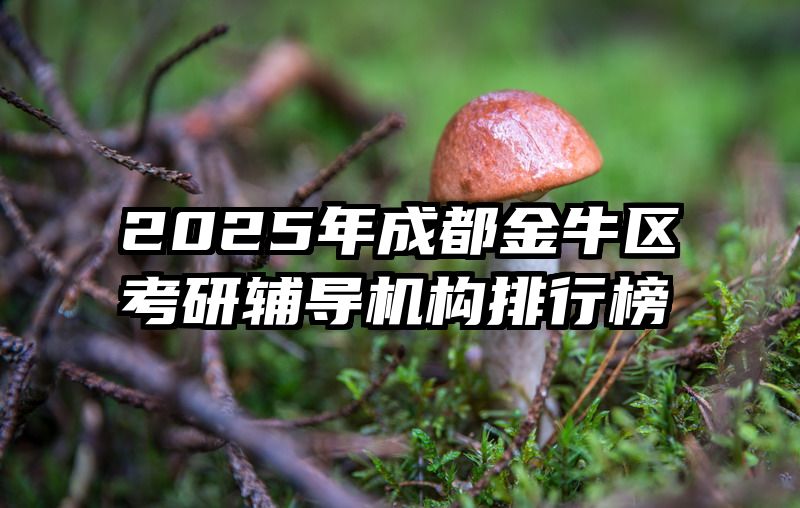 2025年成都金牛区考研辅导机构排行榜