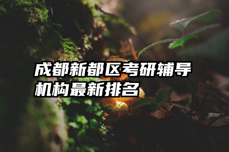 成都新都区考研辅导机构最新排名