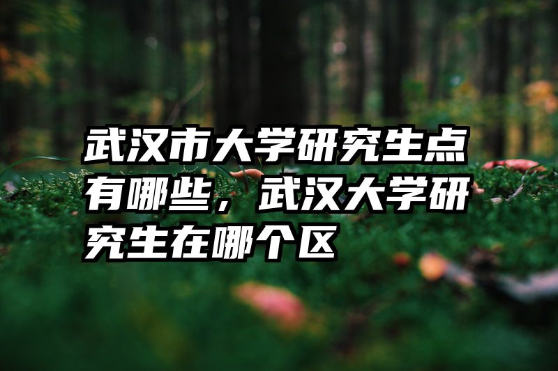 武汉市大学研究生点有哪些，武汉大学研究生在哪个区