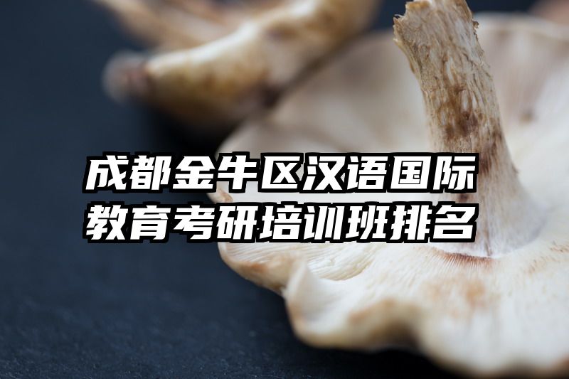成都金牛区汉语国际教育考研培训班排名