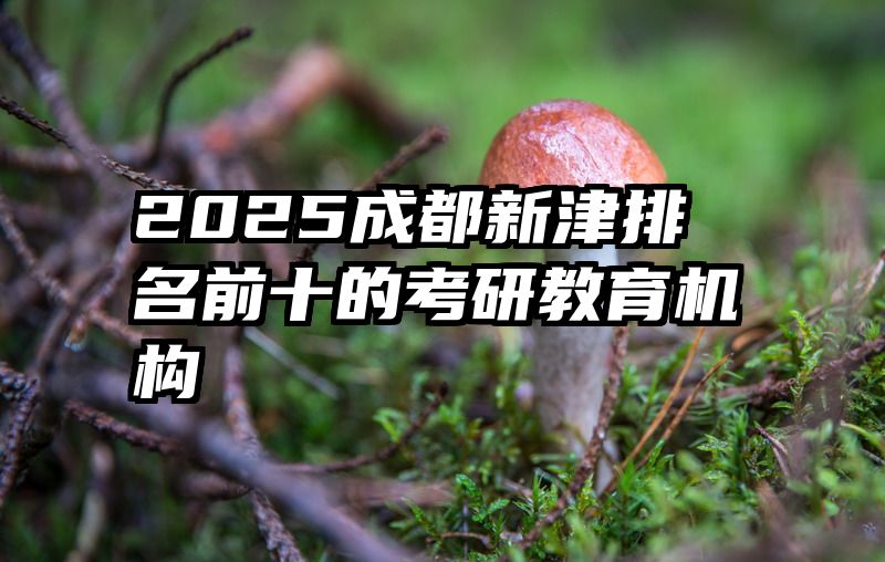2025成都新津排名前十的考研教育机构