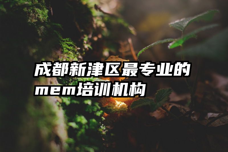 成都新津区最专业的mem培训机构