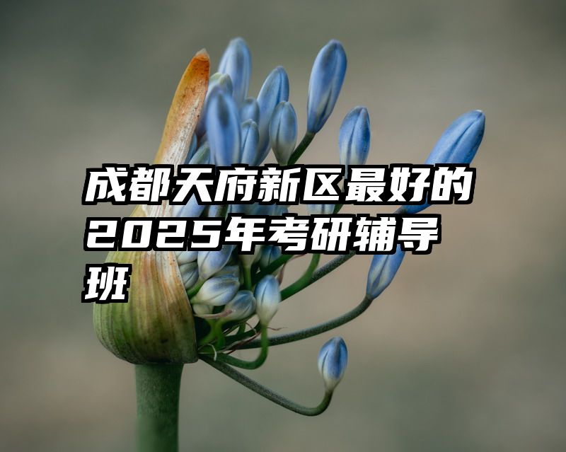 成都天府新区最好的2025年考研辅导班