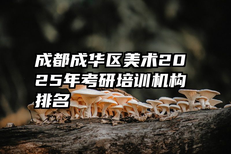 成都成华区美术2025年考研培训机构排名