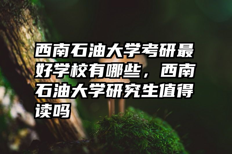 西南石油大学考研最好学校有哪些，西南石油大学研究生值得读吗