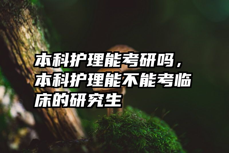 本科护理能考研吗，本科护理能不能考临床的研究生