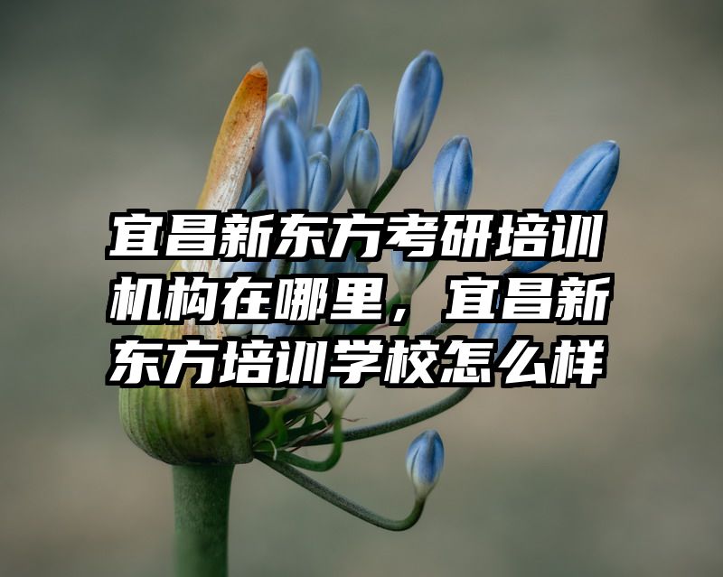 宜昌新东方考研培训机构在哪里，宜昌新东方培训学校怎么样