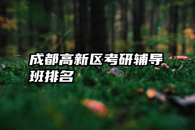 成都高新区考研辅导班排名