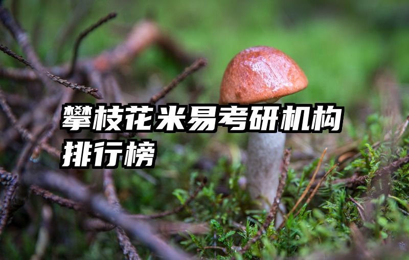 攀枝花米易考研机构排行榜