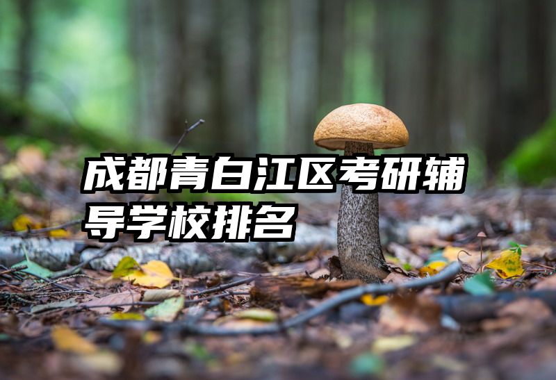 成都青白江区考研辅导学校排名