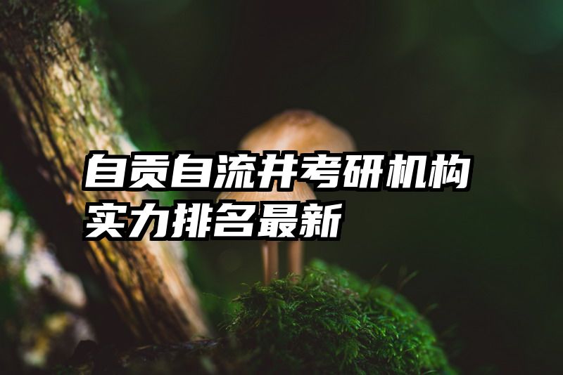 自贡自流井考研机构实力排名最新