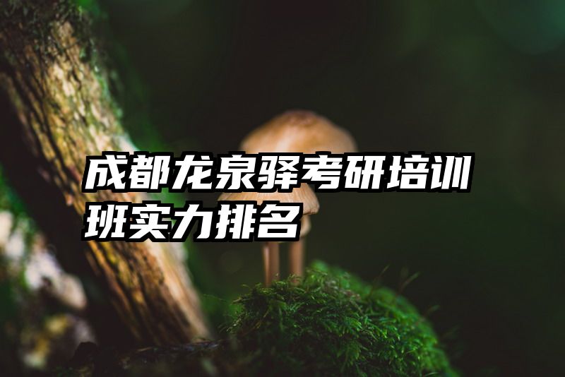 成都龙泉驿考研培训班实力排名