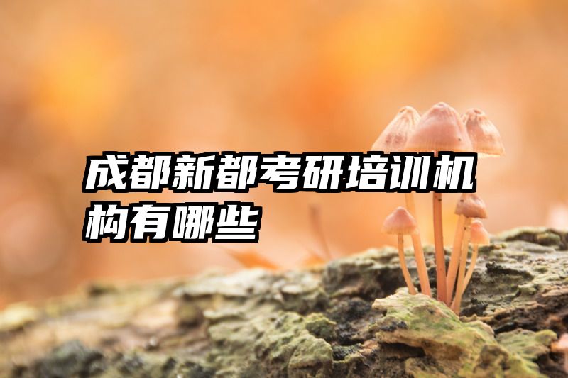 成都新都考研培训机构有哪些