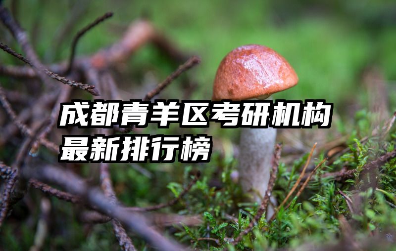 成都青羊区考研机构最新排行榜
