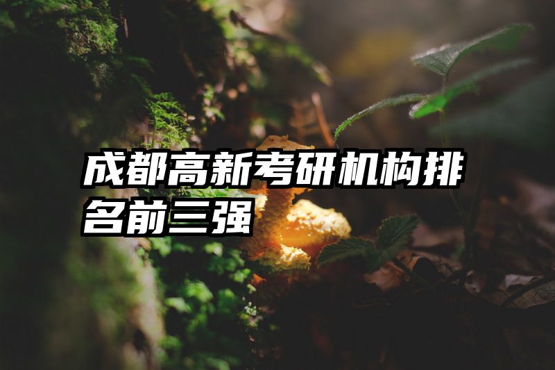 成都高新考研机构排名前三强