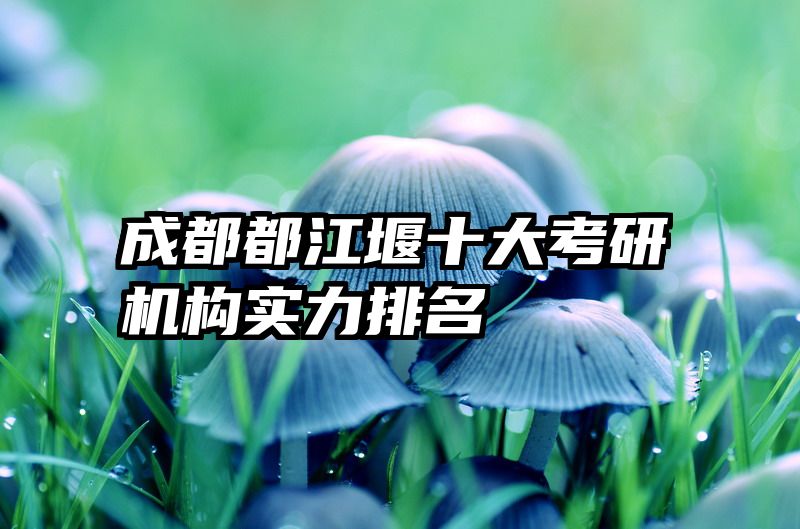 成都都江堰十大考研机构实力排名
