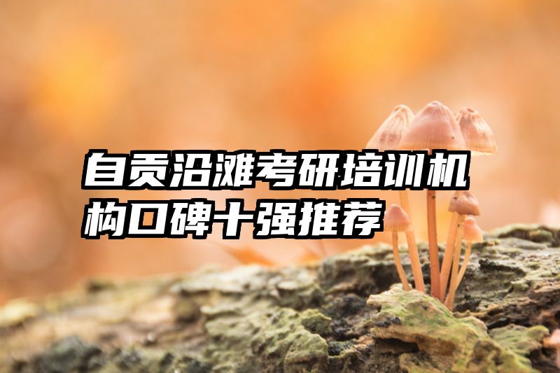 自贡沿滩考研培训机构口碑十强推荐