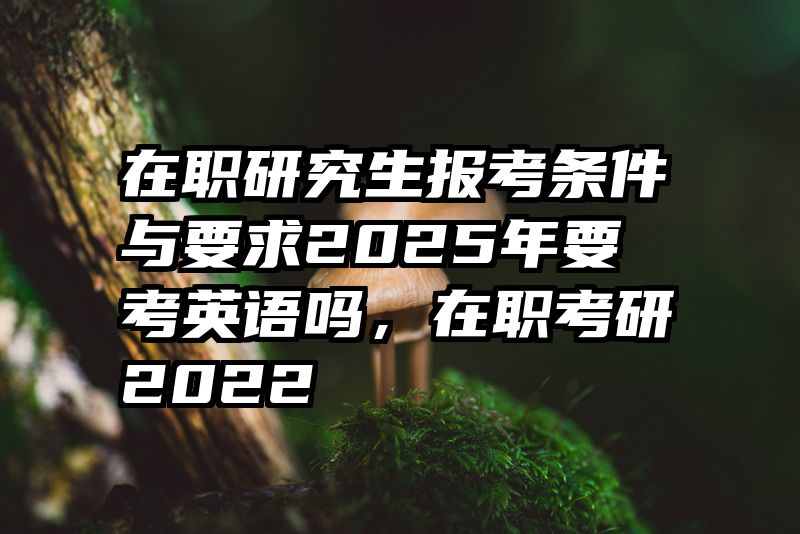 在职研究生报考条件与要求2025年要考英语吗，在职考研2022