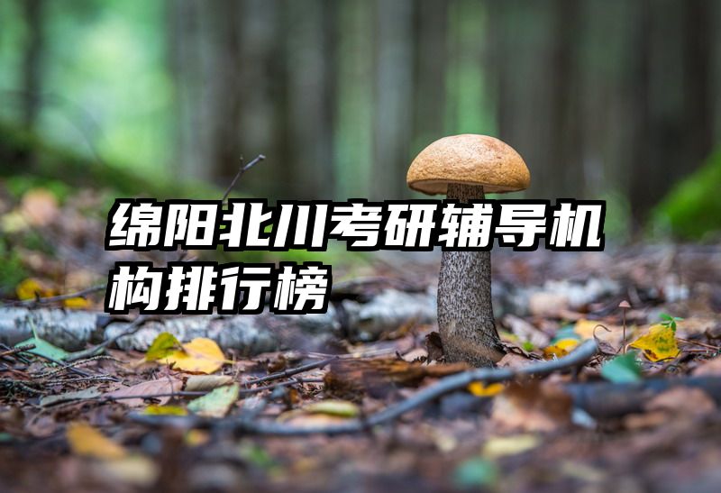 绵阳北川考研辅导机构排行榜