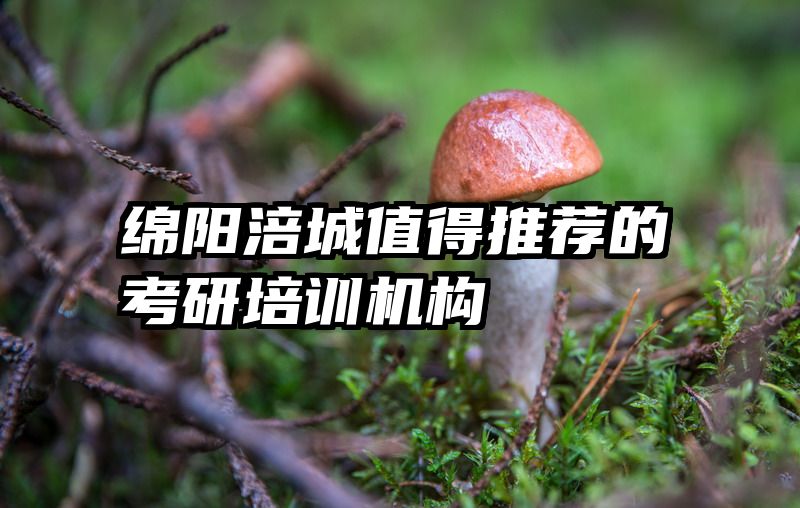 绵阳涪城值得推荐的考研培训机构