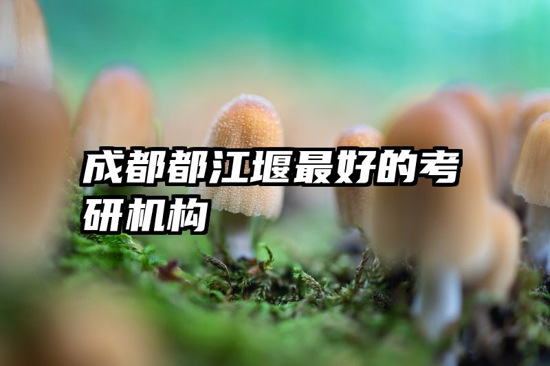 成都都江堰最好的考研机构