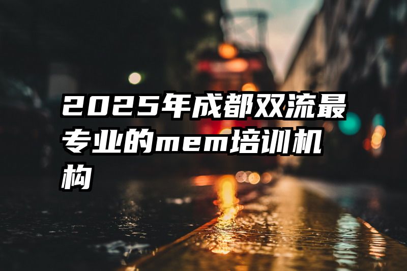 2025年成都双流最专业的mem培训机构