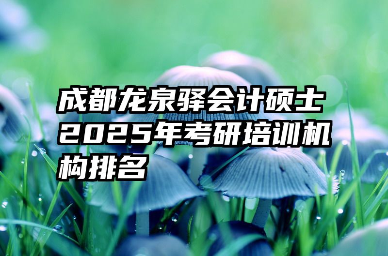 成都龙泉驿会计硕士2025年考研培训机构排名
