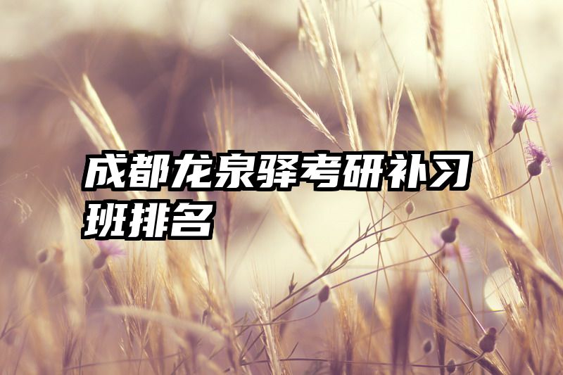 成都龙泉驿考研补习班排名