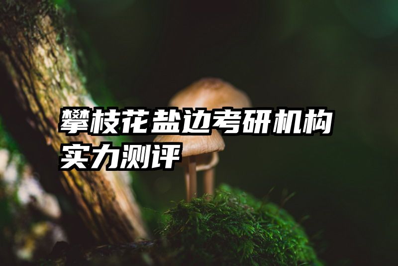 攀枝花盐边考研机构实力测评