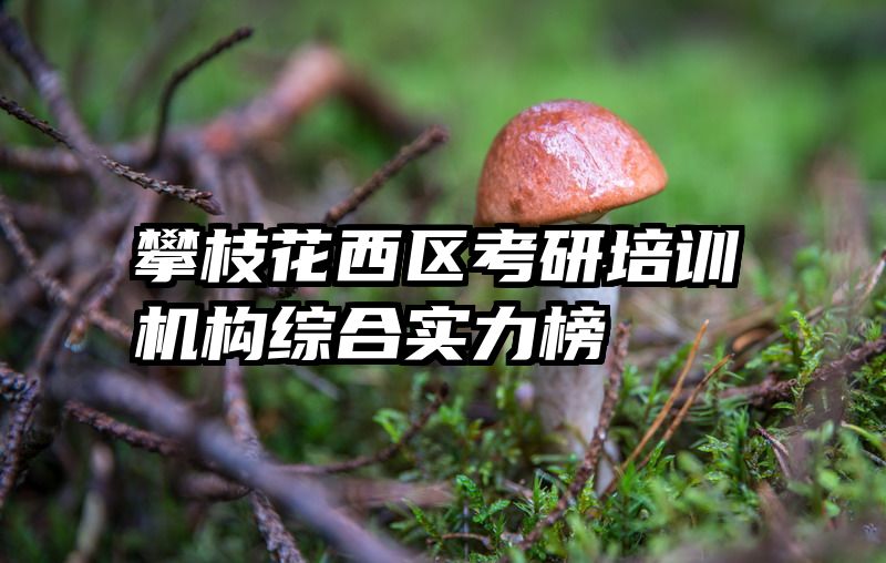 攀枝花西区考研培训机构综合实力榜