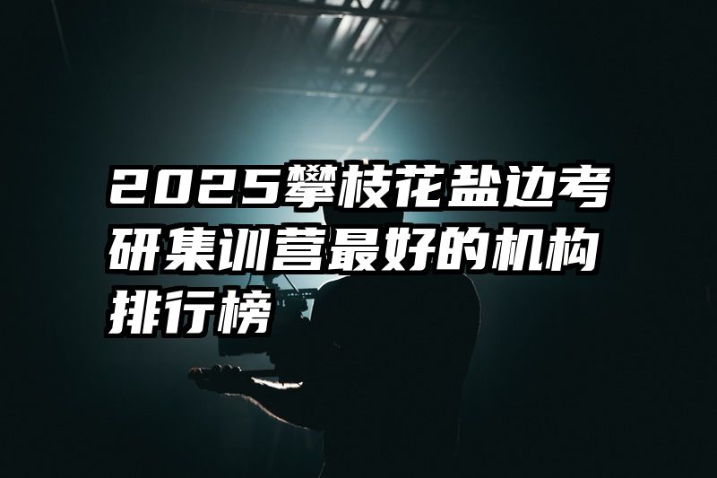 2025攀枝花盐边考研集训营最好的机构排行榜