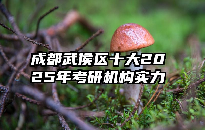 成都武侯区十大2025年考研机构实力
