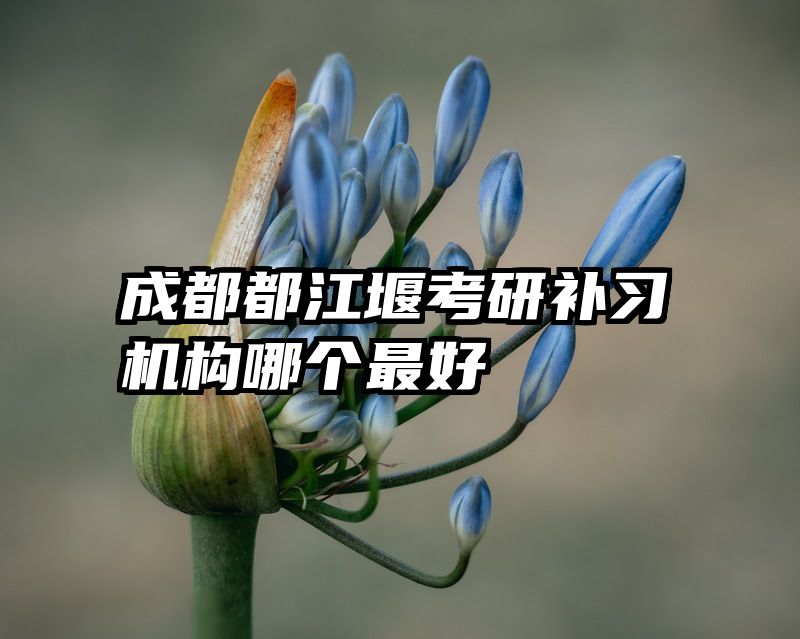 成都都江堰考研补习机构哪个最好