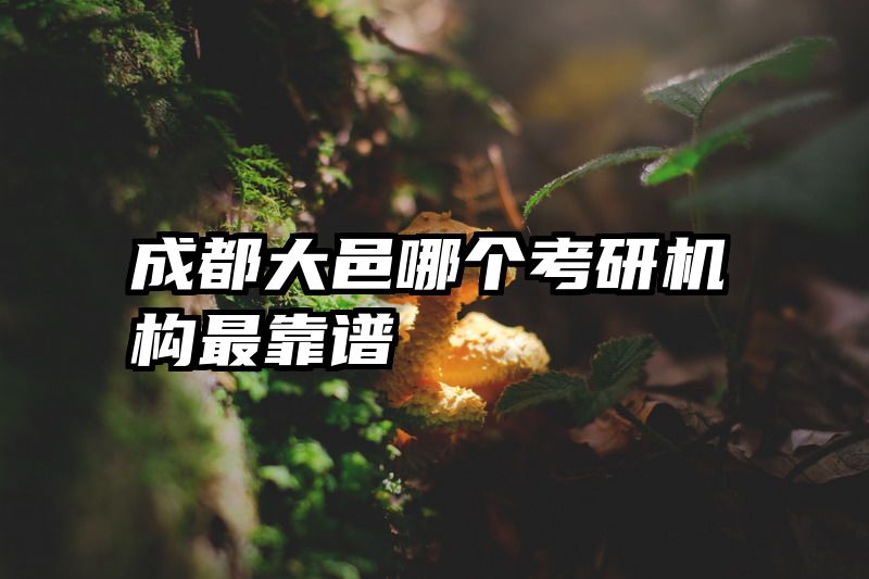 成都大邑哪个考研机构最靠谱