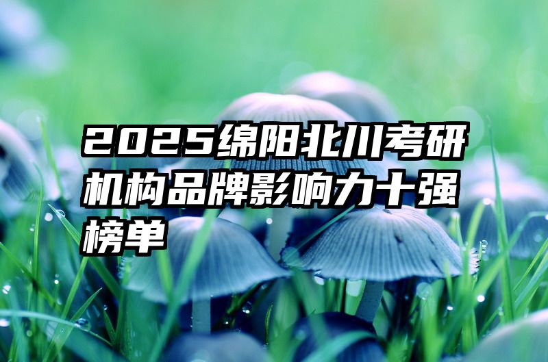 2025绵阳北川考研机构品牌影响力十强榜单