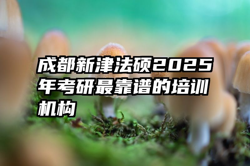 成都新津法硕2025年考研最靠谱的培训机构