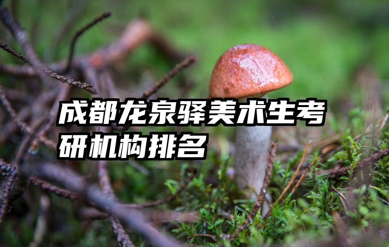 成都龙泉驿美术生考研机构排名