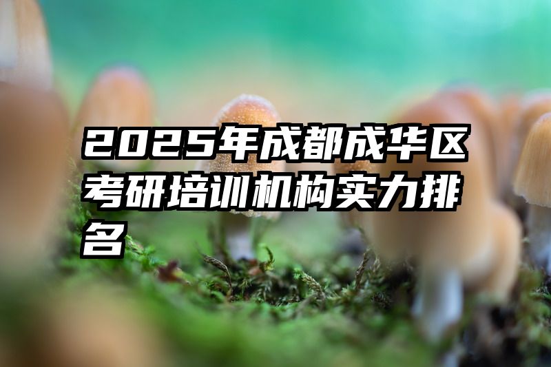 2025年成都成华区考研培训机构实力排名