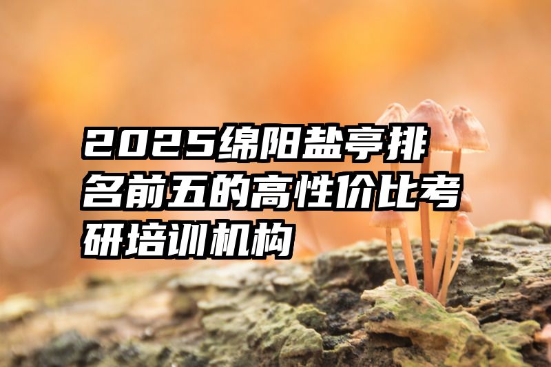 2025绵阳盐亭排名前五的高性价比考研培训机构