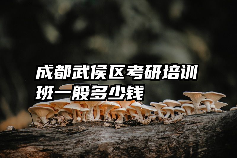 成都武侯区考研培训班一般多少钱