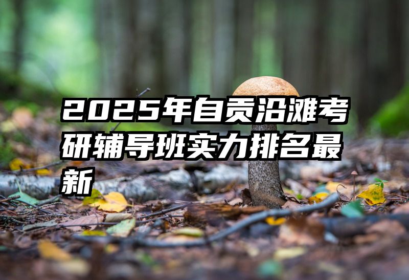 2025年自贡沿滩考研辅导班实力排名最新