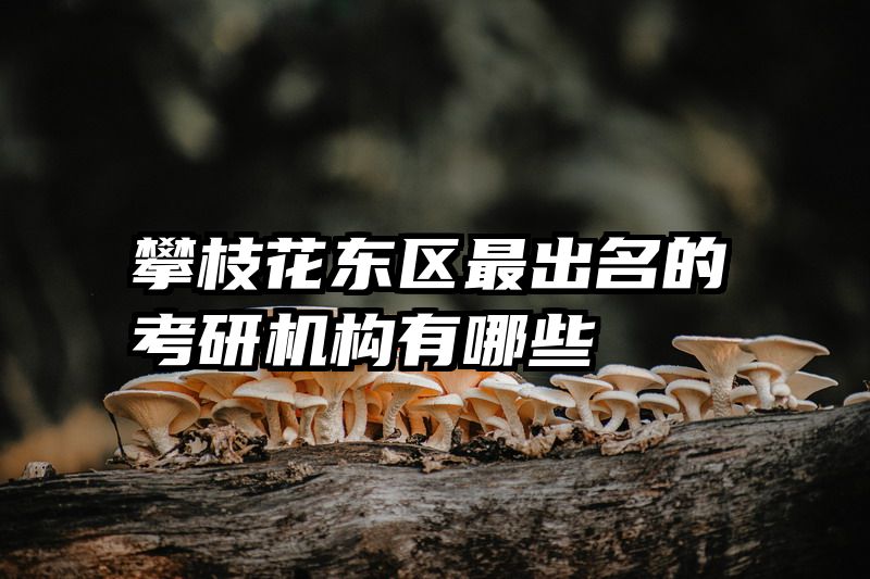 攀枝花东区最出名的考研机构有哪些