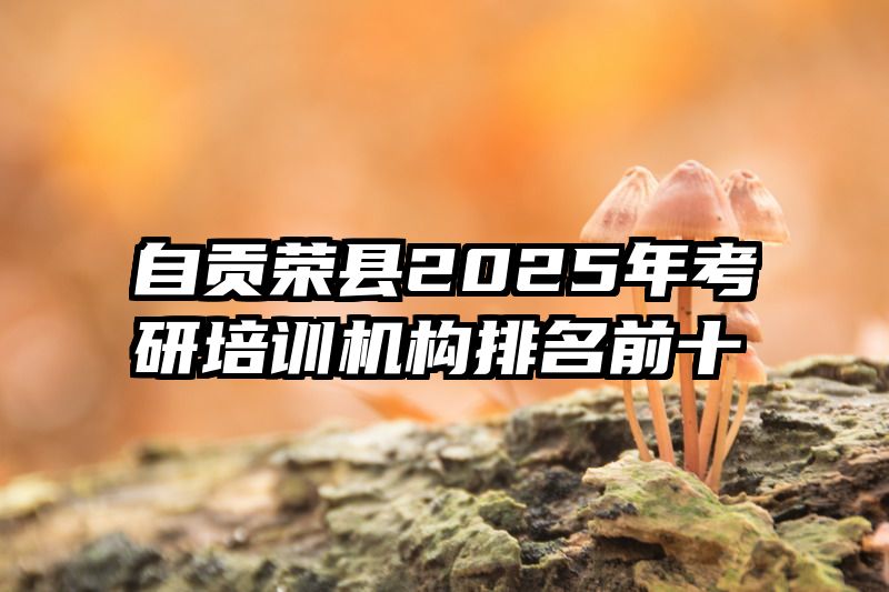 自贡荣县2025年考研培训机构排名前十