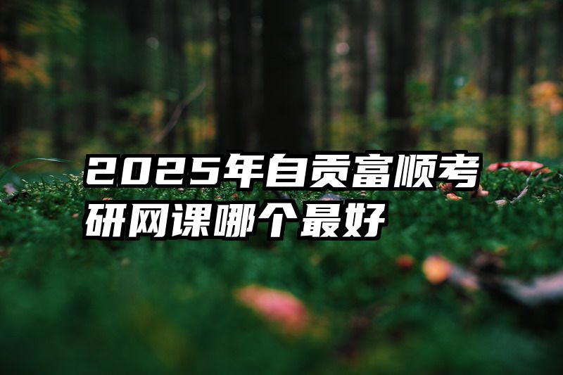 2025年自贡富顺考研网课哪个最好