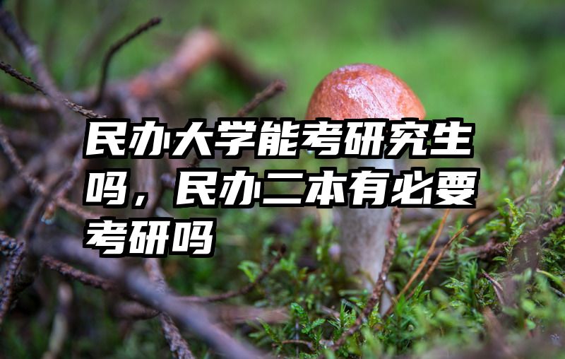 民办大学能考研究生吗，民办二本有必要考研吗