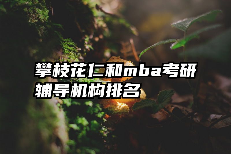 攀枝花仁和mba考研辅导机构排名