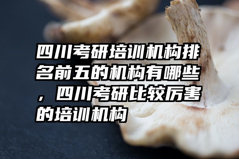 四川考研培训机构排名前五的机构有哪些，四川考研比较厉害的培训机构